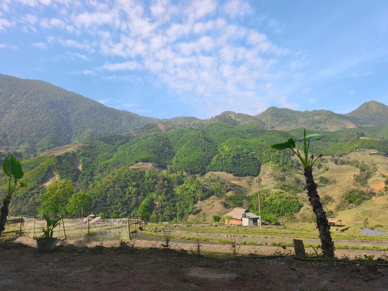 Chalet Zozo & Trekking Sa Pa